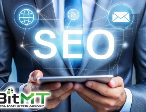 Search Engine Optimization | Who needs SEO and why?